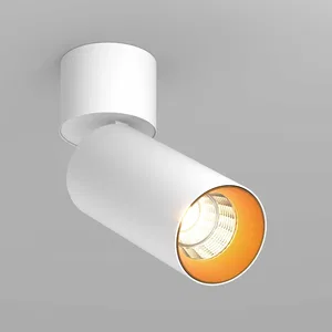 Светильник SP-POLO-SURFACE-FLAP-R65-8W Day4000 (WH-GD, 40 deg) (Arlight, IP20 Металл, 3 года)