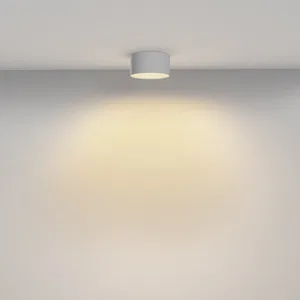 Потолочный светильник Technical C032CL-12W2.7K-RD-W