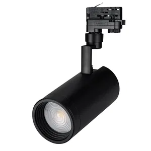 Светильник LGD-ZEUS-4TR-R100-30W Warm SP3000-Fruit (BK, 20-60 deg, 230V) (Arlight, IP20 Металл, 3 года)