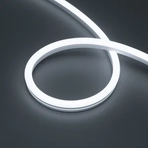 Лента герметичная MOONLIGHT-PRO-SIDE-X320-12x24mm 48V White6000 (10 W/m, IP67, 30m, wire x2) (Arlight, Вывод боковой, 7 лет)