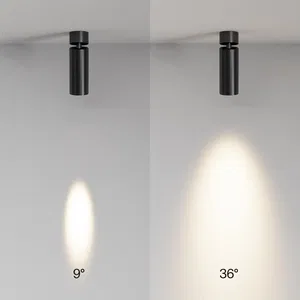 Потолочный светильник Technical C055CL-L12W3K-SS-B
