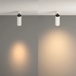 Потолочный светильник Technical C055CL-L12W3K-Z-W