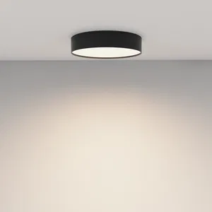 Потолочный светильник Technical C032CL-36W4K-RD-B