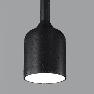 Уличный подвесной светильник Outdoor O491PL-L8B3K