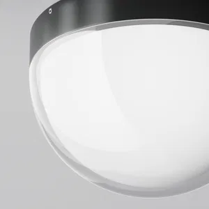 Уличный потолочный светильник Outdoor O438CL-L12GF3K