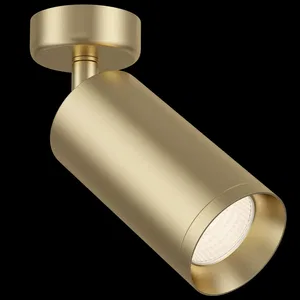 Потолочный светильник Technical C017CW-01MG