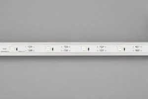 Лента RT-5000-6060LENS-20-12V White6000 (10mm, 10W/m, IP20) (Arlight, Открытый)