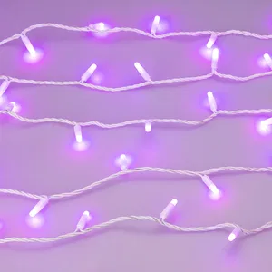 Светодиодная гирлянда ARD-STRING-CLASSIC-10000-WHITE-100LED-MILK-LIVE RGB-DMX (24V, 10W) (Ardecoled, IP65, 1 год)