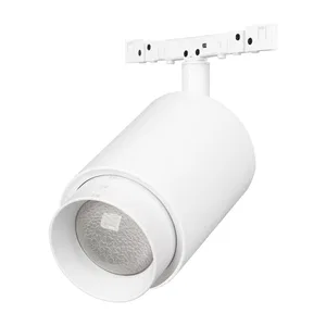 Светильник MAG-MICROCOSM-SPOT-ZOOM-R59-12W Day4000 (WH, 20-60 deg, 24V) (Arlight, IP20 Металл, 5 лет)
