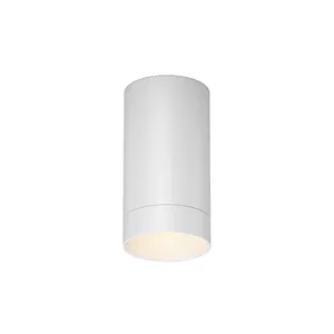 Уличный потолочный светильник Outdoor O500CL-L5W3K