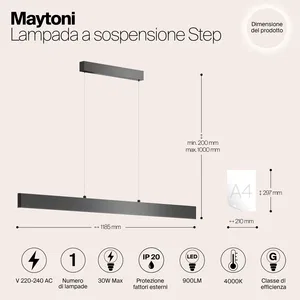 Подвесной светильник Maytoni P010PL-L30B4K
