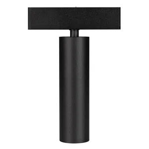 Светильник MAG-SPOT-25-R120-12W Day4000 (BK, 30 deg, 24V) (Arlight, IP20 Металл, 5 лет)
