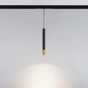 Светильник MAG-SPOT-HANG-25-R30-5W Day4000 (BK-GD, 45 deg, 24V) (Arlight, IP20 Металл, 5 лет)