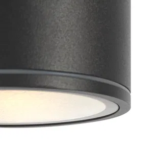 Уличный потолочный светильник Outdoor O306CL-L7GF