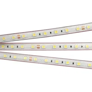 Лента герметичная RTW-PS-B60-12mm 24V Day4000 (14.4 W/m, IP67, 5060, 5m) (Arlight, 14.4 Вт/м, IP67)