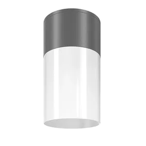 Уличный потолочный светильник Outdoor O418CL-01GR