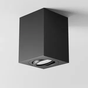 Потолочный светильник Technical C017CL-02B