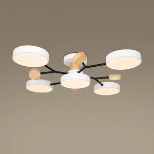 Потолочный светильник Freya FR6119CL-L60W