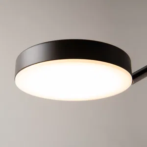 Потолочный светильник Maytoni MOD070CL-L15B3K1