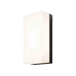 Уличный настенный светильник Outdoor O454WL-L10GF3K