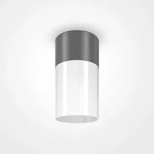 Уличный потолочный светильник Outdoor O418CL-01GR