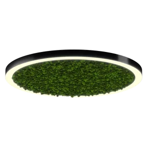 Модульный светильник HOKASU Halo Moss (кольцо со мхом)
