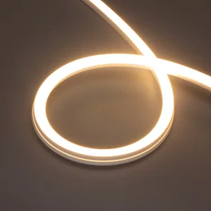 Лента герметичная MOONLIGHT-PRO-SIDE-X320-20x20mm 48V Warm3000 (10 W/m, IP67, 30m, wire x2) (Arlight, Вывод боковой, 7 лет)
