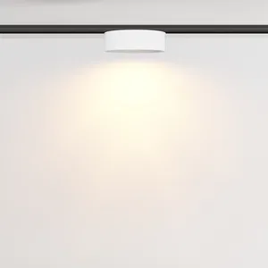 Трековый светильник Technical TR189-1-12W2.7K-BW
