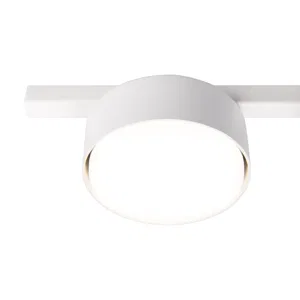 Потолочный светильник Freya FR5363CL-03B