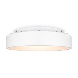 Потолочный светильник Freya FR6118CL-L45W