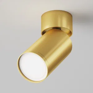 Потолочный светильник Technical C050CL-U-1S