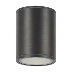 Уличный потолочный светильник Outdoor O306CL-L12GF