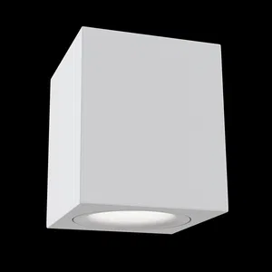 Потолочный светильник Technical C013CL-01W