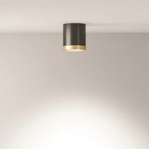 Потолочный светильник Technical C086CM-GX53-MRD-BG