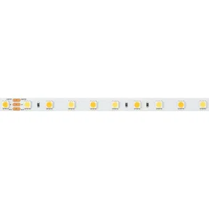 Лента RT 6-5000 24V White-MIX 2x (5060, 60 LED/m, LUX) (Arlight, Изменяемая ЦТ)