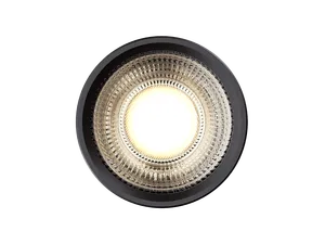 Module HOKASU HS45 10W (MR16/GU10)