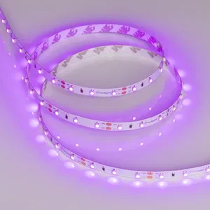 Лента RT-A60-8mm 12V Pink (4.8 W/m, IP20, 2835, 5m) (Arlight, 4.8 Вт/м, IP20)