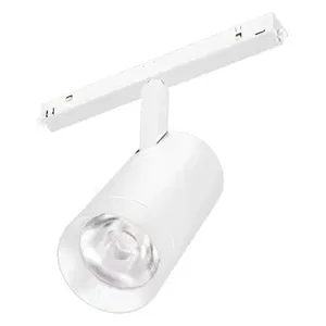 Светильник MAG-ORIENT-SPOT-R65-20W Day4000 (WH, 24 deg, 48V, DALI) (Arlight, IP20 Металл, 5 лет)