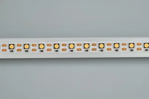 Лента RT 2-5000 12V Cx1 Day5000 2x (5060, 360 LED, CRI98) (Arlight, 16.8 Вт/м, IP20)