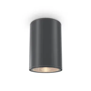 Уличный потолочный светильник Outdoor O306CL-L12GF