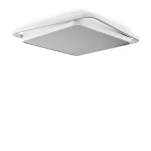 Потолочный светильник Freya FR10030CL-L88W