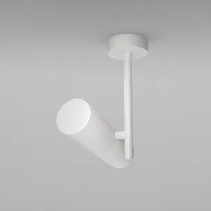 Потолочный светильник Technical C020CL-01W