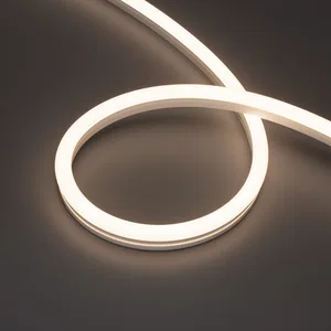 Лента герметичная MOONLIGHT-PRO-SIDE-X320-12x24mm 48V Day4000 (10 W/m, IP67, 30m, wire x2) (Arlight, Вывод боковой, 7 лет)