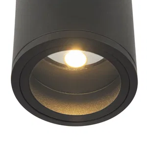 Уличный потолочный светильник Outdoor O306CL-L12GF