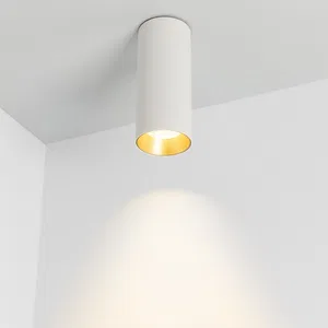 Светильник SP-POLO-SURFACE-R65-8W Day4000 (WH-GD, 40 deg) (Arlight, IP20 Металл, 5 лет)