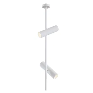 Потолочный светильник Technical C021CL-02W