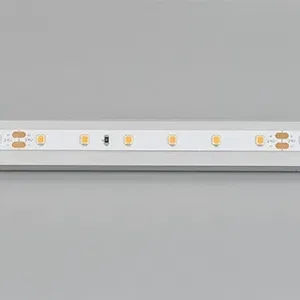 Лента RT-A60-8mm 24V Carrot (4.8 W/m, IP20, 5m) (Arlight, -)
