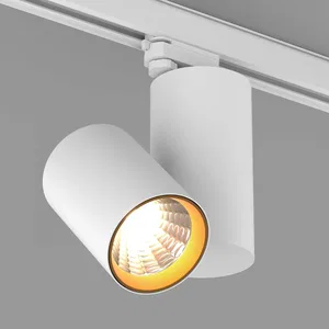 Светильник SP-POLO-TRACK-TURN-R85-15W Day4000 (WH-GD, 40 deg) (Arlight, IP20 Металл, 3 года)