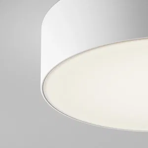 Уличный потолочный светильник Outdoor O431CL-L30W4K