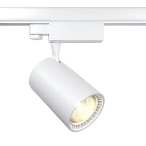 Трековый светильник Technical TR029-3-20W3K-W-B
